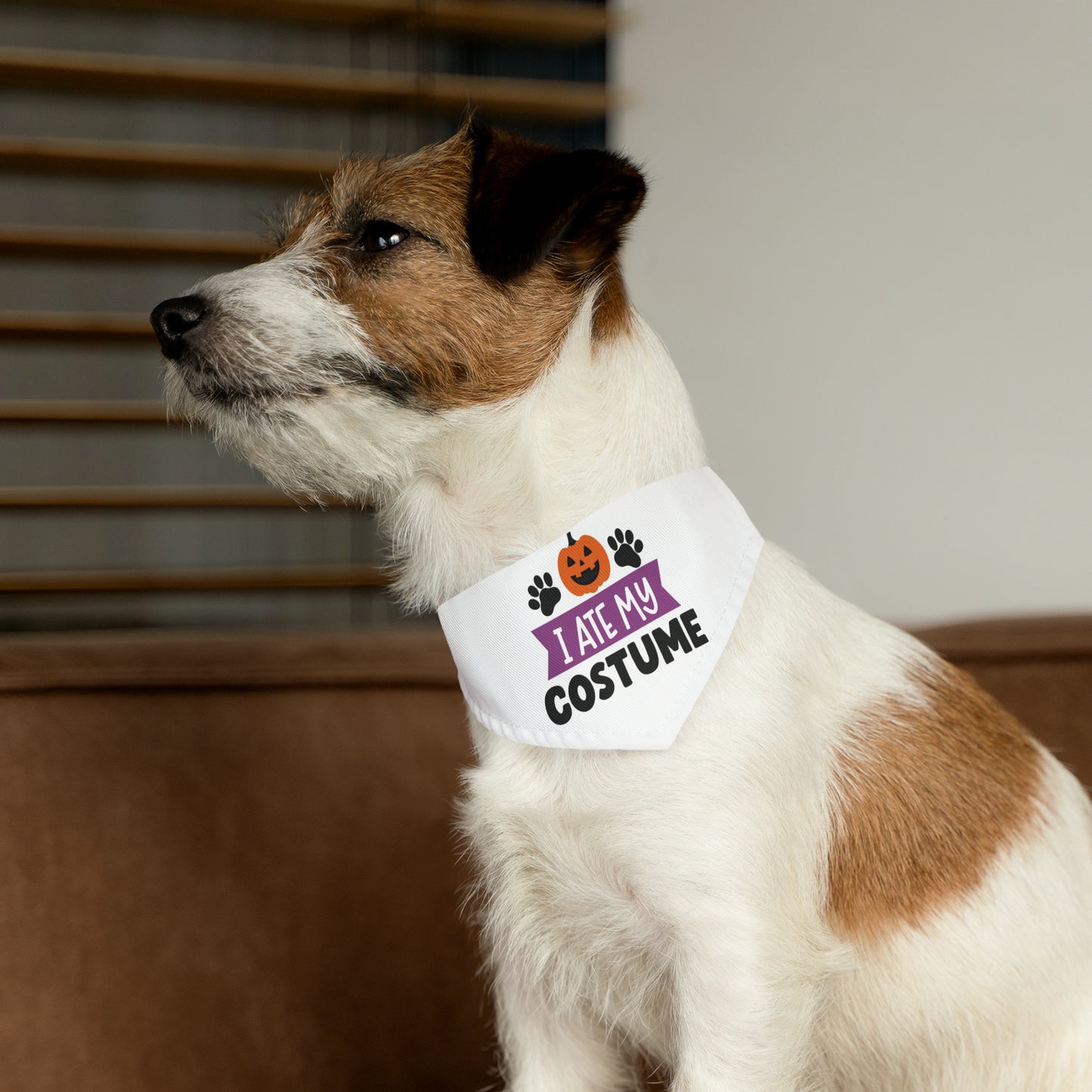 Pet Bandana Collar