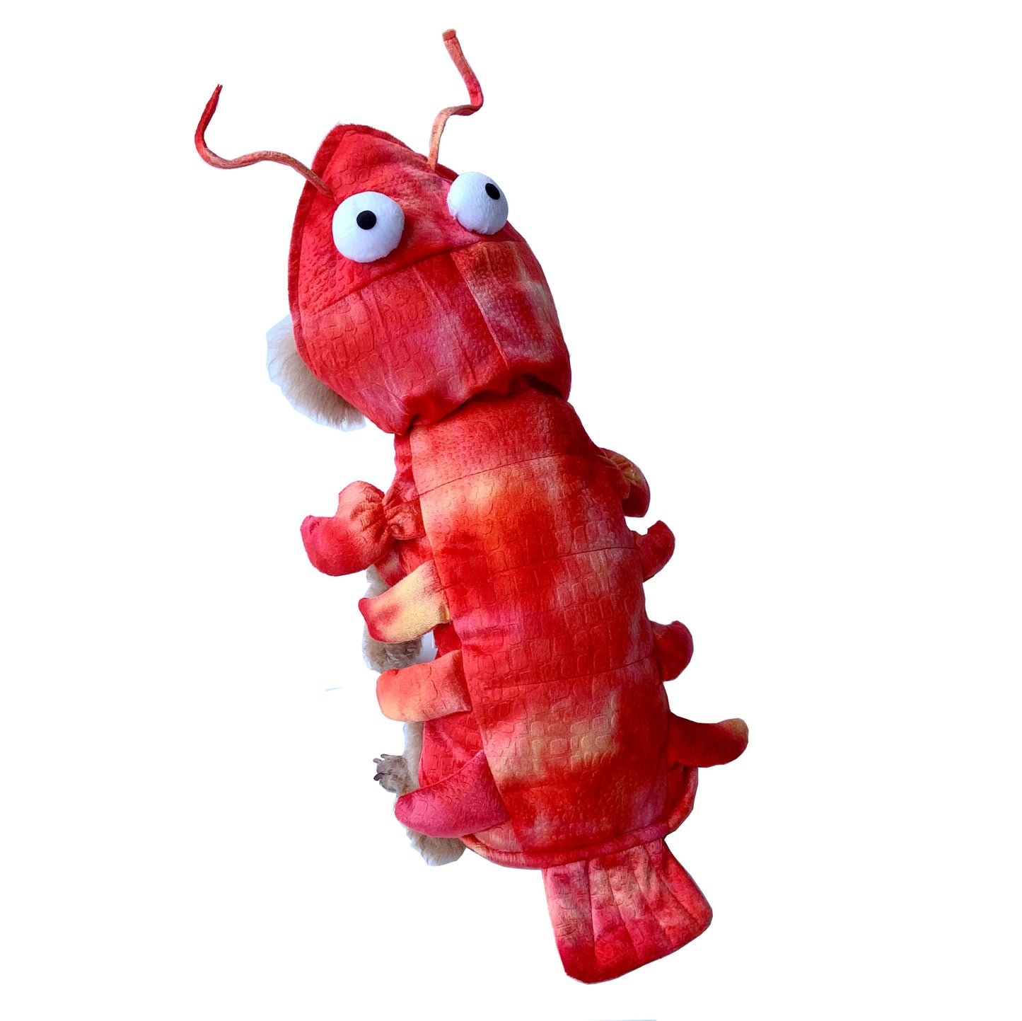 Lobster Pet Clothes Halloween Cat And Dog Makeover Costume