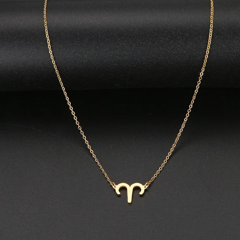 Stainless Steel Zodiac Necklaces Astrology Perfect Birthday Gift