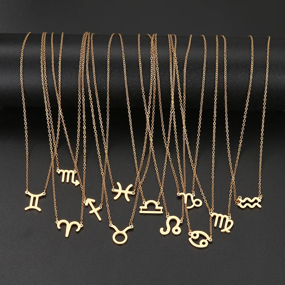 Stainless Steel Zodiac Necklaces Astrology Perfect Birthday Gift